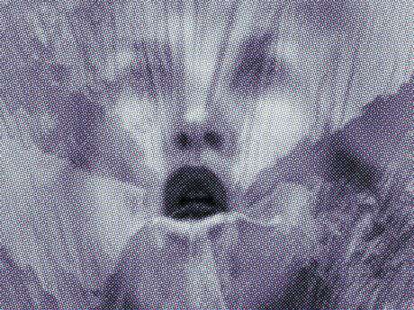 Exposition sous le regard de Méduse