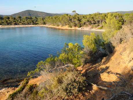 Randonnée sur le sentier du littoral - De la plage de Cabasson à la plage de Pellegrin