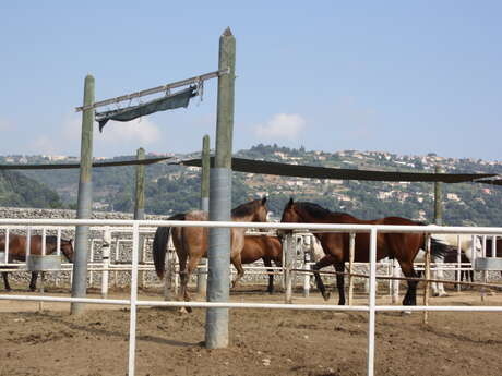 Centre Equestre (A.G.A.S.C)