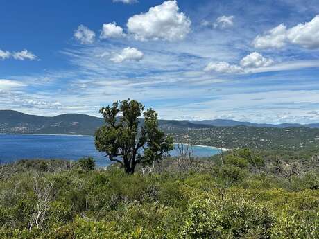 Domaine du Cap Lardier VTT