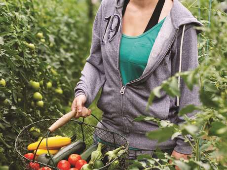 Le potager des Narces