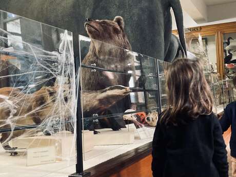 Visite guidée - Mammifères, qui êtes-vous?