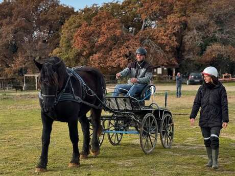 Jounée découverte de l'attelage
