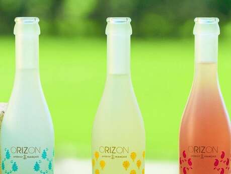 Orizon
