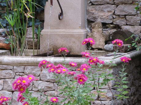 Jardin de l’Atelier du Mille Pattes