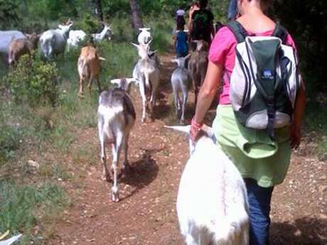 Festival de la Terre : Une journée à la ferme