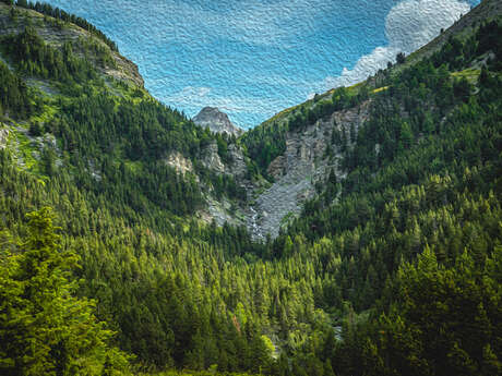 Exposition Les arbres en couleurs – Sous les branches de l’art