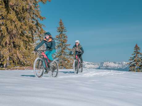 Escursione sulla neve con MTB elettrica