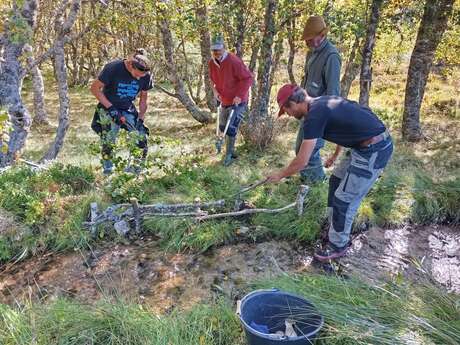 Chantier participatif