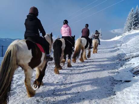 Horseback riding on snow