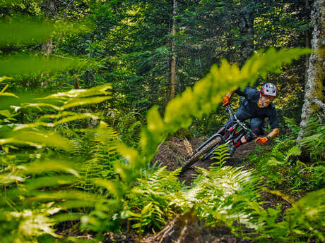 Enduro de la Trace - Piste VTT Enduro n°37
