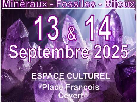 6e Salon des minéraux, fossiles et bijoux