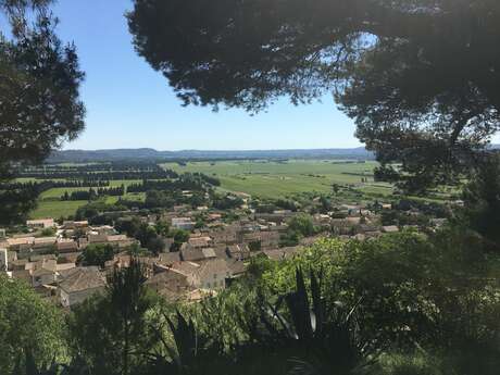 Balade du Primeur