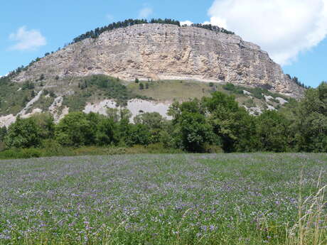 Le Chapeau de Napoléon