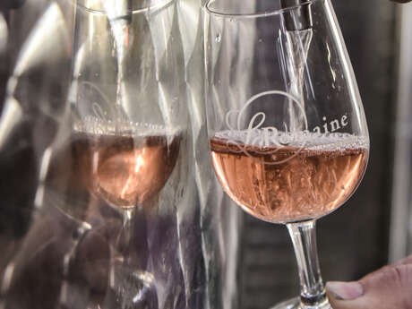 Introduction to oenology and wine tasting - Cave La Romaine