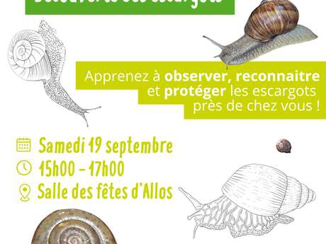 Découverte des escargots