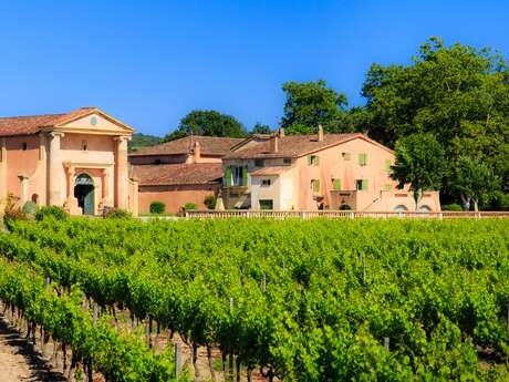 Vignoble Domaine de Bertaud-Belieu