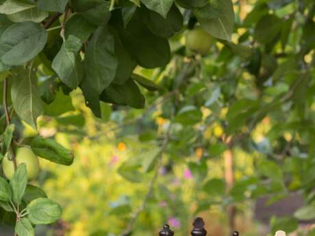 Village Charlot : soirée spéciale tournoi d’échecs