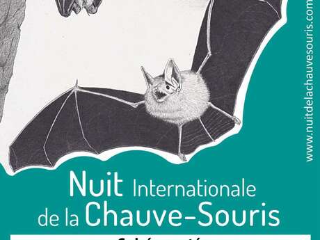 International Bat Night