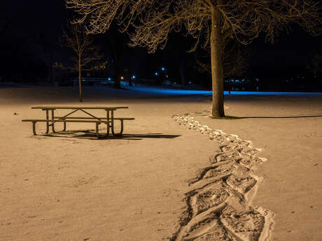 Nocturne en raquette et repas savoyard
