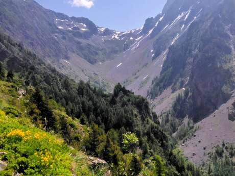 Stage d'orientation - Tudual Grall