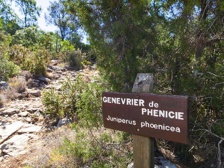 Itinéraire pédestre "Sentier botanique"