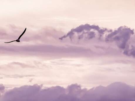 Printemps des Poètes : rencontre musicale et poétique