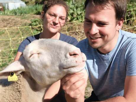 La ferme de Château Robert