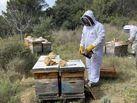 Rencontre avec un producteur : le miel des Dent'Ailes