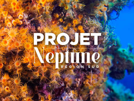 Projet Neptune : une odyssée sous-marine méditerranéenne accessible pour tous