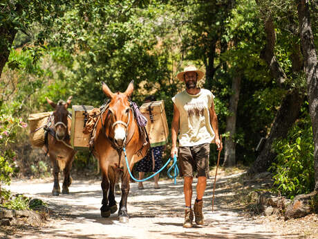 Randonnée à la journée avec mules et muletiers - Les Muletiers Bigatier