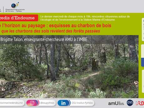 Les mercredis d’Endoume / De l’horizon au paysage : esquisses au charbon de bois