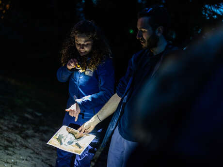 Sortie nature avec un écogarde : Safari nocturne