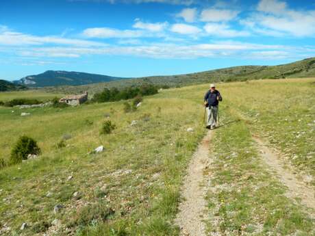 ROUGON - Rougon - Chasteuil + Autocar