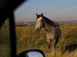 Une traversée buissonnière sur l'ancienne Nationale 7