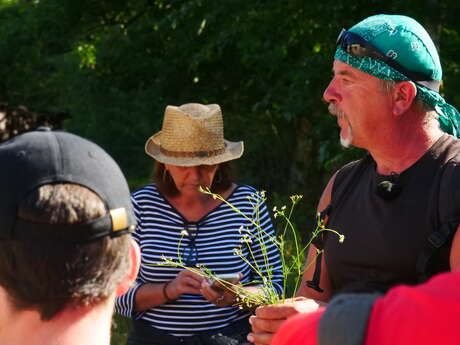 Stage d'herboristerie pratique à l'Herbier du Dévoluy