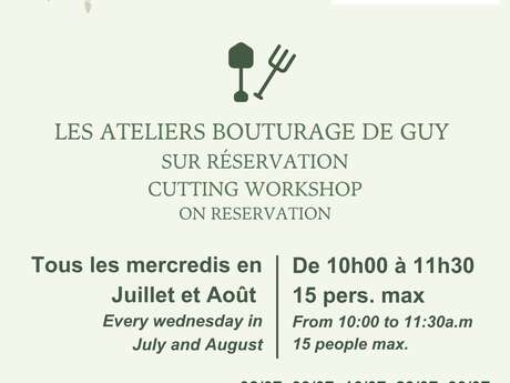 Atelier bouturage d'olivier