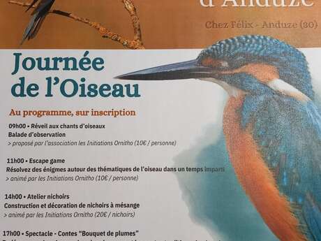 A la rencontre des oiseaux d'Anduze