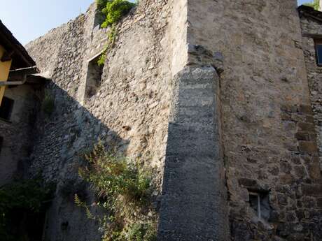 Château des Salines