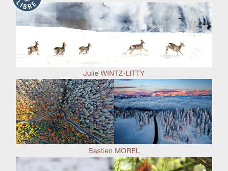 Exposition "Grandeur Nature"