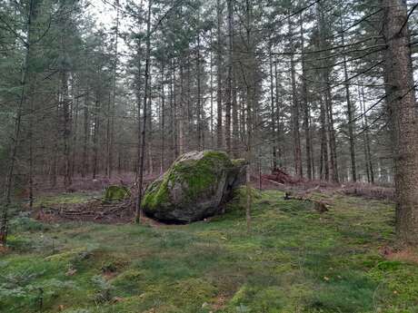 Balade contée d’Halloween
