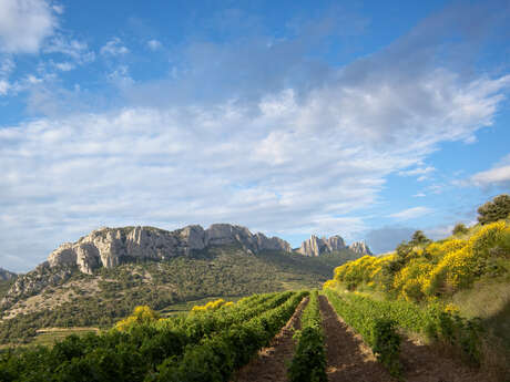 Domaine de Fenouillet