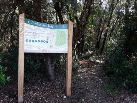 Randonner Autrement - A l'ombre des bois