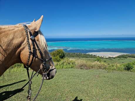 Half-day Horse Riding - Far West Ranch Deva