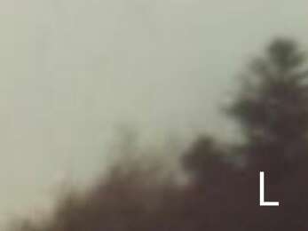 Concert - Liv Cloü