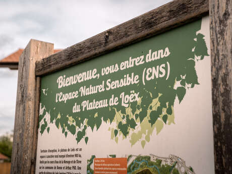 Plateau de Loëx