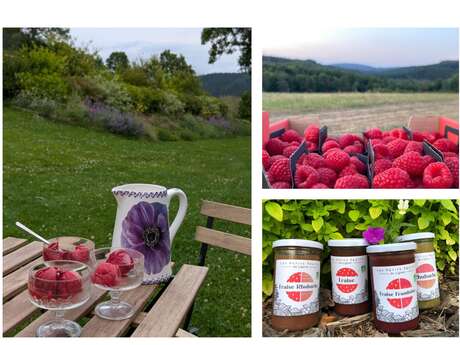 Les Petits Fruits du Lignon