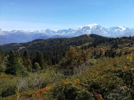 Hiking : le col du Jaillet