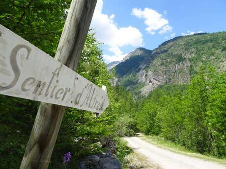 THEMED PATH: Mr Alfred's wood