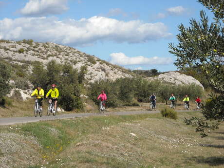 Transhumance Voyages